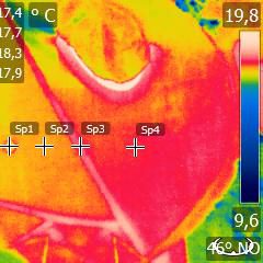 Recording of a thermal imaging camera from the tree house hotel "Wolke 7" - a prototype with a thermally insulated membrane
