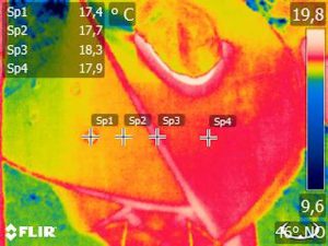 Aufnahme einer Wärmebildkamera  vom Baumhaushotel "Wolke7" - ein Forschungsprototyp mit wärmegedämmter Membran 