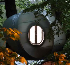Das Baumhaushotel Wolke7 bietet eine einmalige Gelegenheit in einer wärmegedämmten Kapsel in den Bäume zu nächtigen